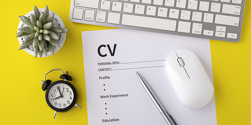 Sigma CV Writing Services